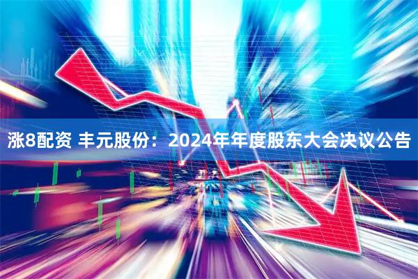 涨8配资 丰元股份：2024年年度股东大会决议公告