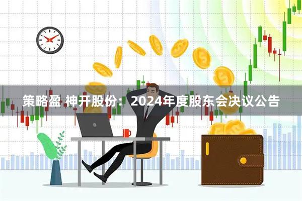 策略盈 神开股份：2024年度股东会决议公告