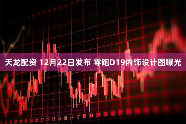 天龙配资 12月22日发布 零跑D19内饰设计图曝光